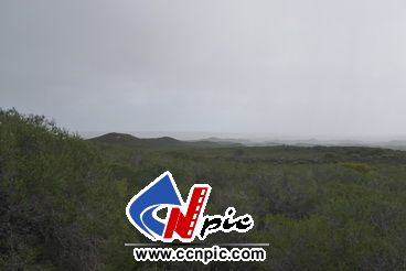 塞万提斯（cervantes）镇风光――雨中的国家公园