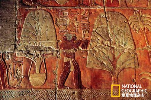 在代尔拜赫里的一幅壁画中，人们把没药树运上朋特港的埃及商船。朋特究竟位于何方，至今尚无定论。公元前1470年前后，哈特谢普苏特派遣商队前往红海沿岸，采购奢侈品